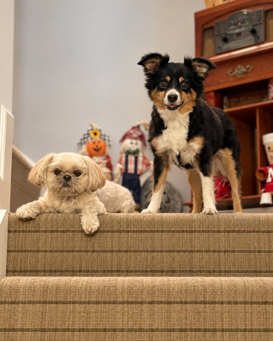 Bella & Gracie